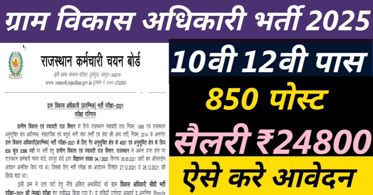 RSMSSB VDO Vacancy 2025